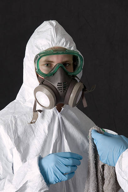 Best Real Estate Mold Inspection  in Arcanum, OH